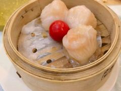 -老广新意(奥园店)