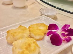 墨鱼饼-外沙疍家棚酒楼