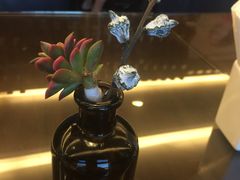 -宁波万豪酒店