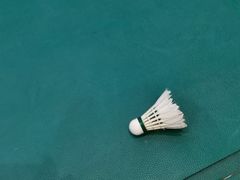 -锐菲特游泳体育健身中心(滨江店)