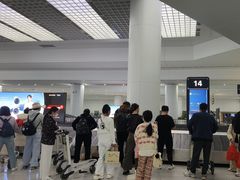 -青岛胶东国际机场