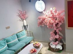 -白壁上妍の日式美肌·徒手小颜整骨院