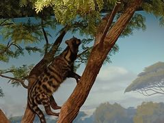 -陕西自然博物馆