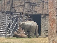 景点-成都动物园