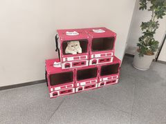 -静宜和她的朋友(星海广场店)