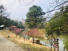 -宝岩生态观光园