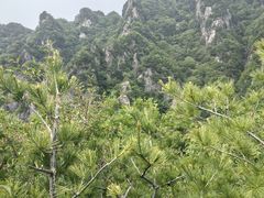 -王顺山国家森林公园