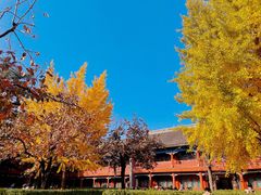 -北京石刻艺术博物馆(五塔寺)