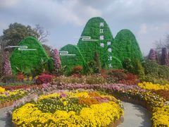 -南山植物园