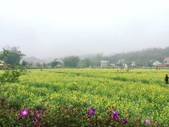 -红山村