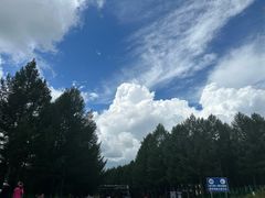 -塞罕坝国家级自然保护区