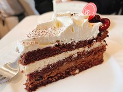 黑森林-双风车咖啡馆 Twin Windmills(六道口店)