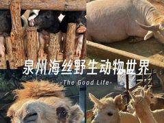 -泉州海丝野生动物世界