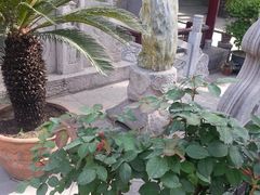 80093_2013041209081200_20130412_090812-西安化觉巷清真大寺