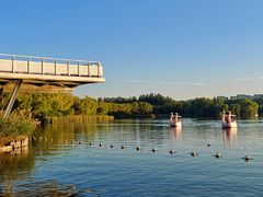 -大兴滨河森林公园