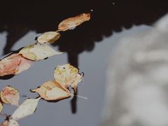 -中国昆曲博物馆