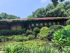 -中国茶叶博物馆(双峰馆区)