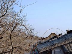 -乌镇景区