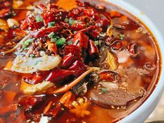 毛血旺-富乐山酒店(西黄城根北街店)