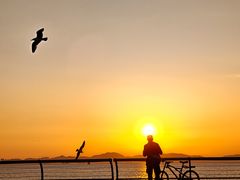 -东港音乐喷泉广场