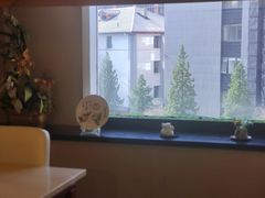 -彩葉·樱花屋日本料理(动物园店)