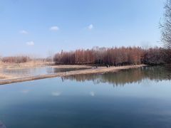 -溱湖国家湿地公园