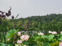 -江苏三台山国家森林公园