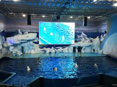 -福州罗源湾海洋世界旅游区