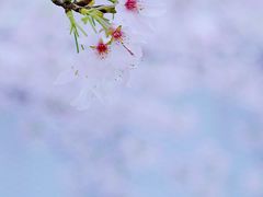 -龙美术馆(西岸馆)