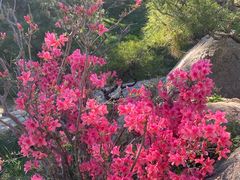 -北京雁栖湖国际会展中心