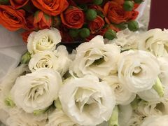 -循礼门鲜花花市(武汉循礼门店)