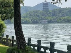 -杭州西湖柳莺里酒店·闻莺厅