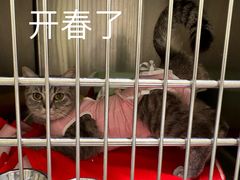 -悦宠动物医院(京丰分院)