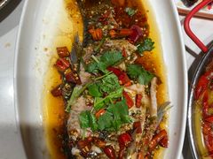 -杨氏青龙虾·羊蝎子(金盛路总店)