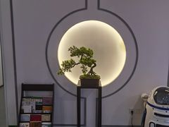-席仁堂推拿按摩脊柱调理(世纪科贸大厦店)