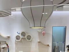 -1013 PET SHOP精品宠物商店(丁香店)