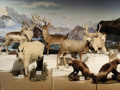 -陕西自然博物馆