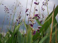 -香山湖公园