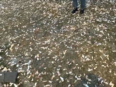 -宜家家居(高新商场店)