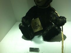 -成都泰迪熊博物馆