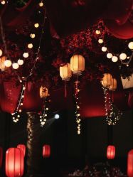 -中茵皇冠假日酒店·宴会厅