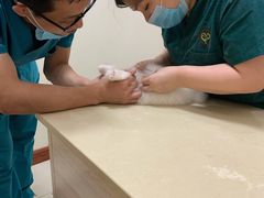 -瑞派康怡24h宠物医院·犬猫医疗中心·微创绝育(瑞景分院)