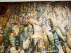 -韩风源自助烤肉(国贸精品店)