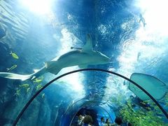 -福州罗源湾海洋世界旅游区