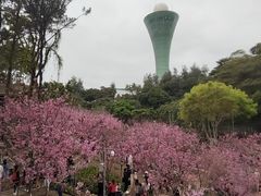 -狐尾山公园