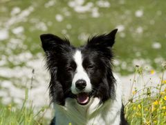 -袁记云饺(富力半岛店)