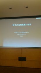 -北京七彩云南翡翠珠宝旗舰店(月坛店)