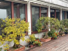 -湖畔居茶楼(湖滨店)