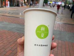 -树夏(建设路店)