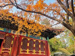 -香山公园